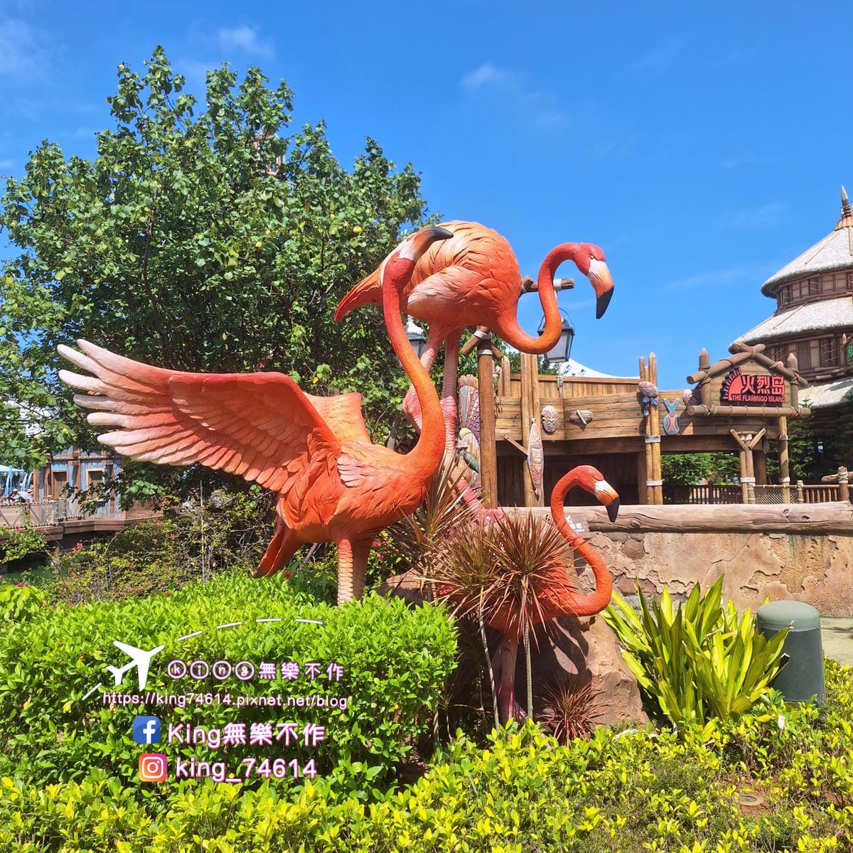 〔中國 海南〕海花島海洋樂園｜奇幻互動體驗式大型極地海洋公園