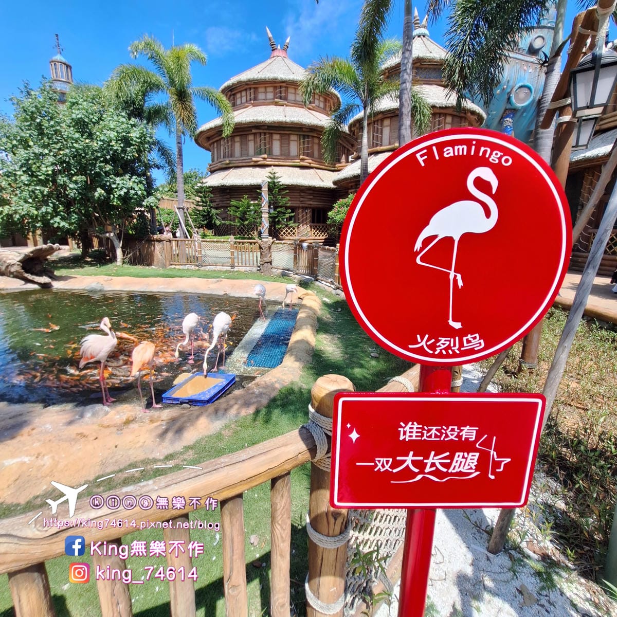 〔中國 海南〕海花島海洋樂園｜奇幻互動體驗式大型極地海洋公園