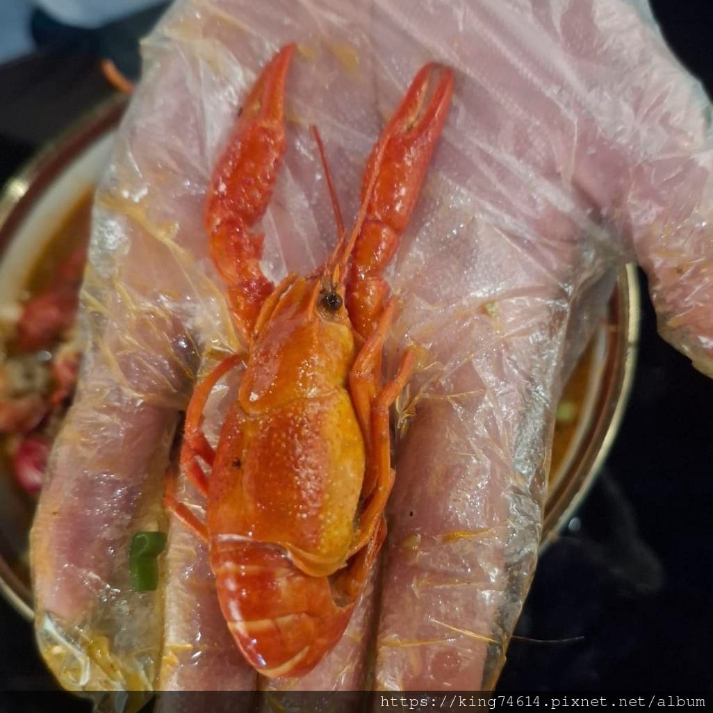 〔桃園 美食〕魚見你（中正店）｜海鮮控的不能錯過｜麻辣與鮮味