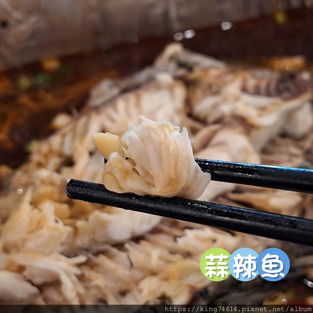 〔桃園 美食〕魚見你（中正店）｜海鮮控的不能錯過｜麻辣與鮮味