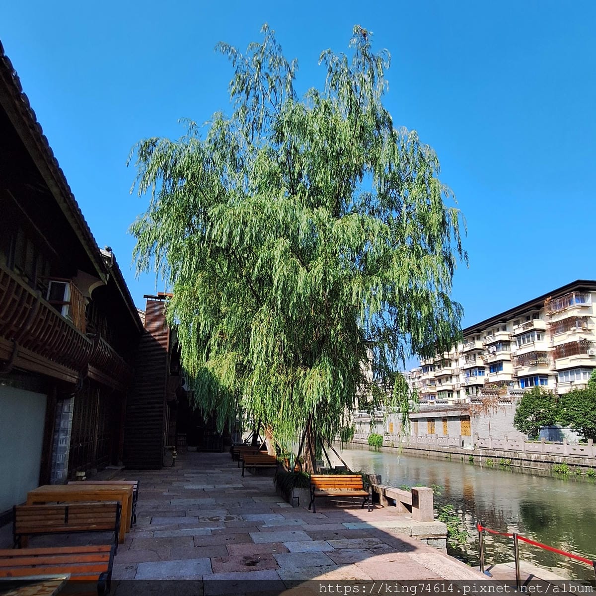 〔大陸 寧波〕南塘老街|傳統美食與古街風情的完美邂逅 〔大陸 寧波〕南塘老街|傳統美食與古街風情的完美邂逅