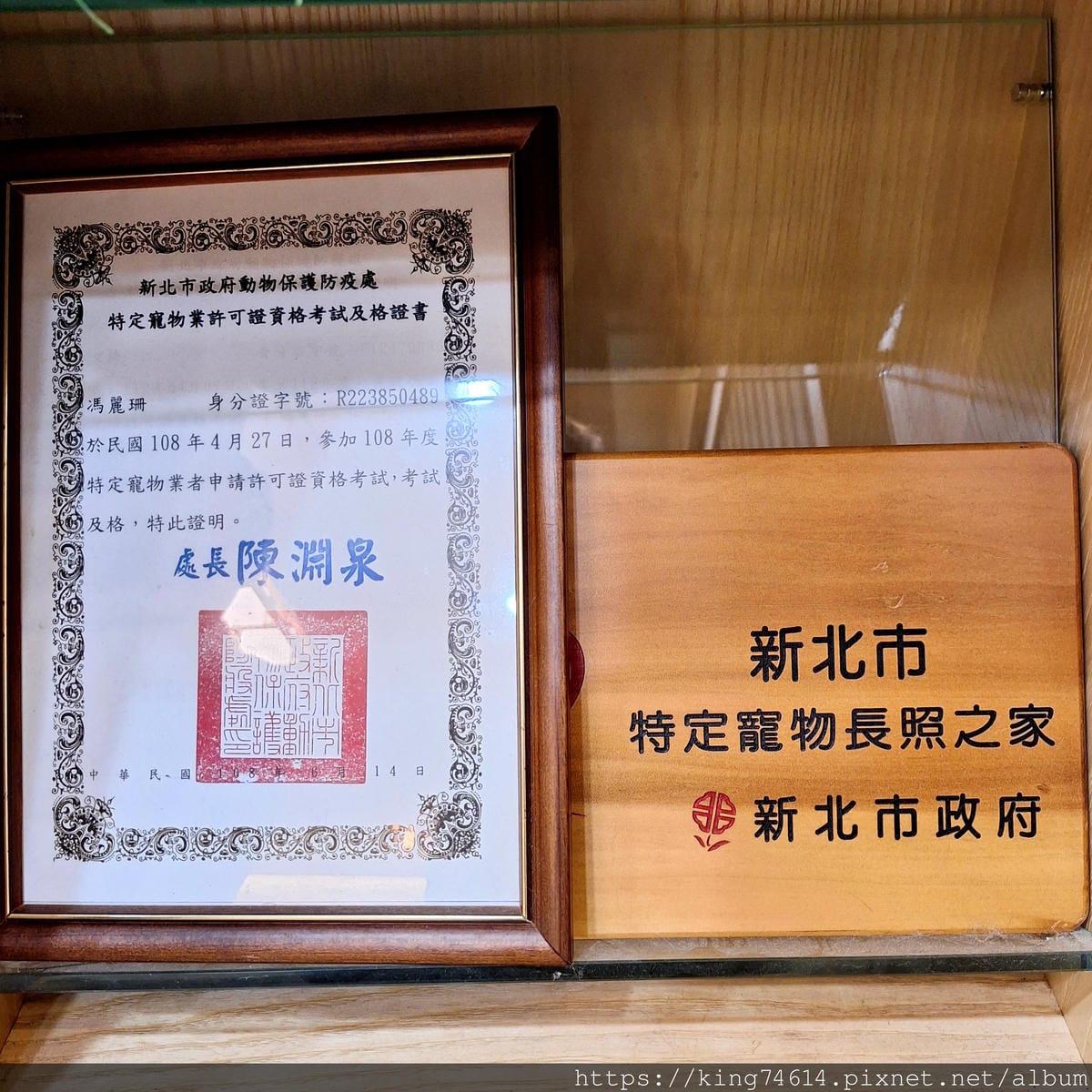 〔寵物生活〕Holypet台灣健康寵物｜毛寶貝全身亞健康分析