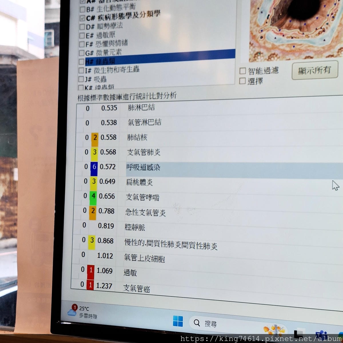 〔寵物生活〕Holypet台灣健康寵物｜毛寶貝全身亞健康分析