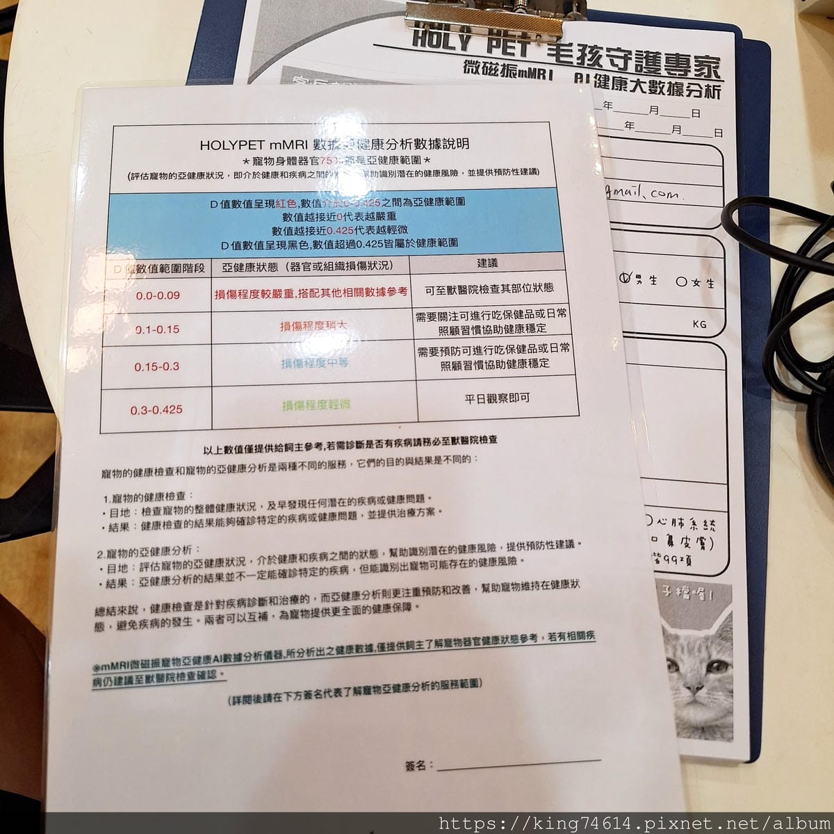 〔寵物生活〕Holypet台灣健康寵物｜毛寶貝全身亞健康分析