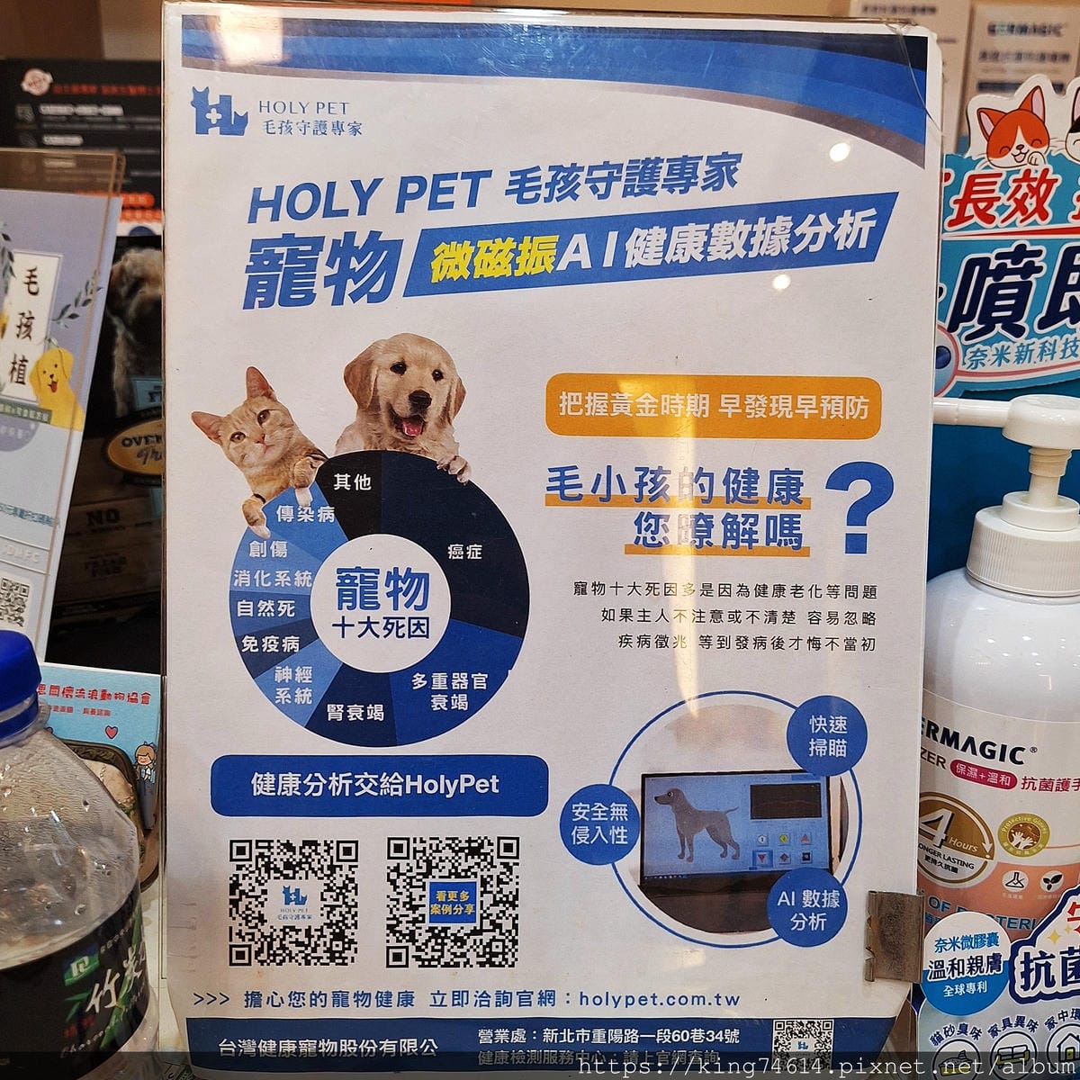 〔寵物生活〕Holypet台灣健康寵物｜毛寶貝全身亞健康分析