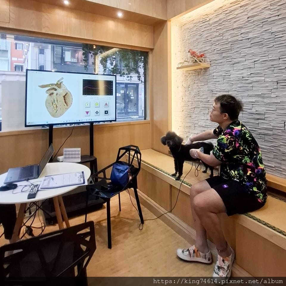 〔寵物生活〕Holypet台灣健康寵物｜毛寶貝全身亞健康分析