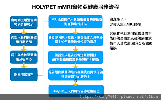 〔寵物生活〕Holypet台灣健康寵物｜毛寶貝全身亞健康分析