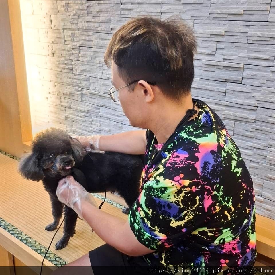 〔寵物生活〕Holypet台灣健康寵物｜毛寶貝全身亞健康分析