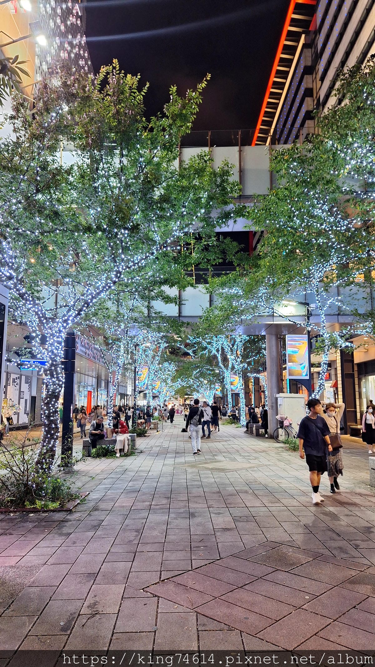 〔日常生活〕🎉🎉恭喜我獲得2024年社群金點賞 美食創作者👍 〔日常生活〕🎉🎉恭喜我獲得2024年社群金點賞 美食創作者👍