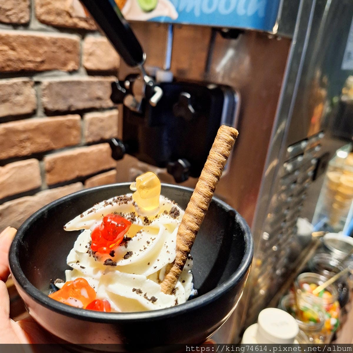 〔桃園 美食〕金蒔鍋物｜濃郁湯頭與頂級海鮮的完美演繹｜自助吧