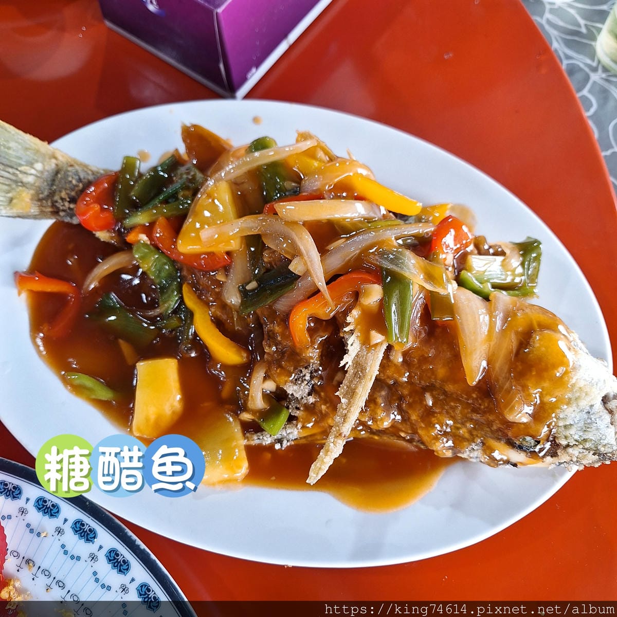 〔屏東 美食〕包滿海鮮｜東港魚市場必吃｜隱藏版醃蜆仔｜多樣海