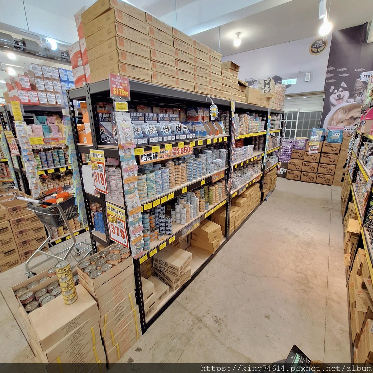 〔寵物 生活〕光66寵物百貨批發倉|寵物界的好市多!主子補貨 〔寵物 生活〕光66寵物百貨批發倉|寵物界的好市多!主子補貨