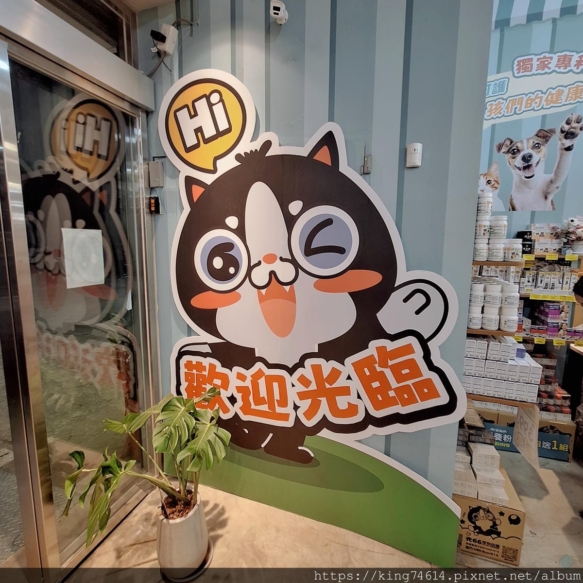 〔寵物 生活〕光66寵物百貨批發倉|寵物界的好市多!主子補貨 〔寵物 生活〕光66寵物百貨批發倉|寵物界的好市多!主子補貨