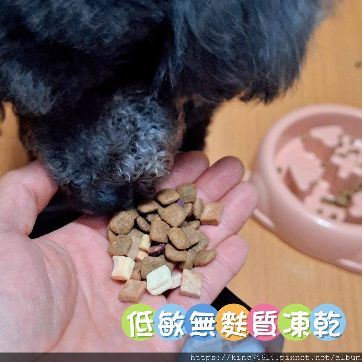 〔寵物 好物〕信元發育寶|毛孩照護必備|寵物控一站全部搞定 〔寵物 好物〕信元發育寶|毛孩照護必備|寵物控一站全部搞定
