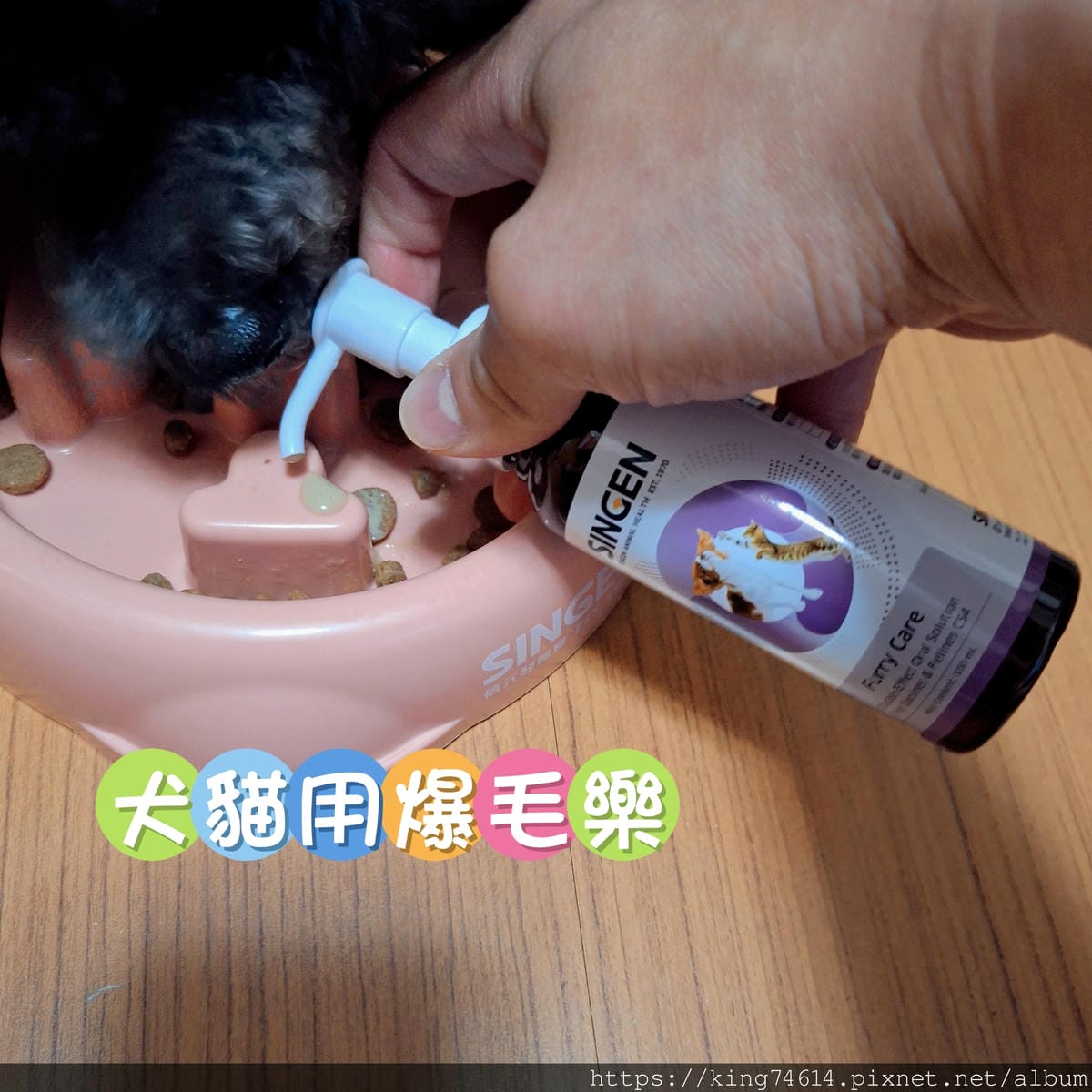 〔寵物 好物〕信元發育寶|毛孩照護必備|寵物控一站全部搞定 〔寵物 好物〕信元發育寶|毛孩照護必備|寵物控一站全部搞定