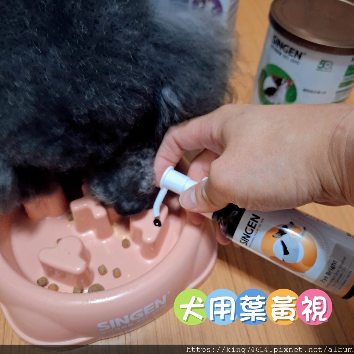 〔寵物 好物〕信元發育寶|毛孩照護必備|寵物控一站全部搞定 〔寵物 好物〕信元發育寶|毛孩照護必備|寵物控一站全部搞定