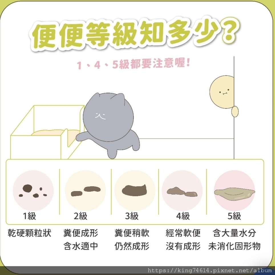 〔寵物 好物〕信元發育寶|毛孩照護必備|寵物控一站全部搞定 〔寵物 好物〕信元發育寶|毛孩照護必備|寵物控一站全部搞定