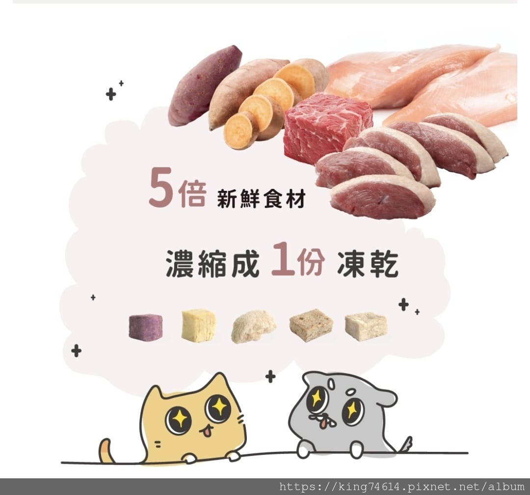 〔寵物 好物〕信元發育寶|毛孩照護必備|寵物控一站全部搞定 〔寵物 好物〕信元發育寶|毛孩照護必備|寵物控一站全部搞定