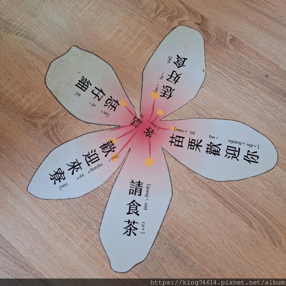 〔苗栗 景點〕花露休閒農場|繡球花季必訪|森林系下午茶、精油 〔苗栗 景點〕花露休閒農場|繡球花季必訪|森林系下午茶、精油