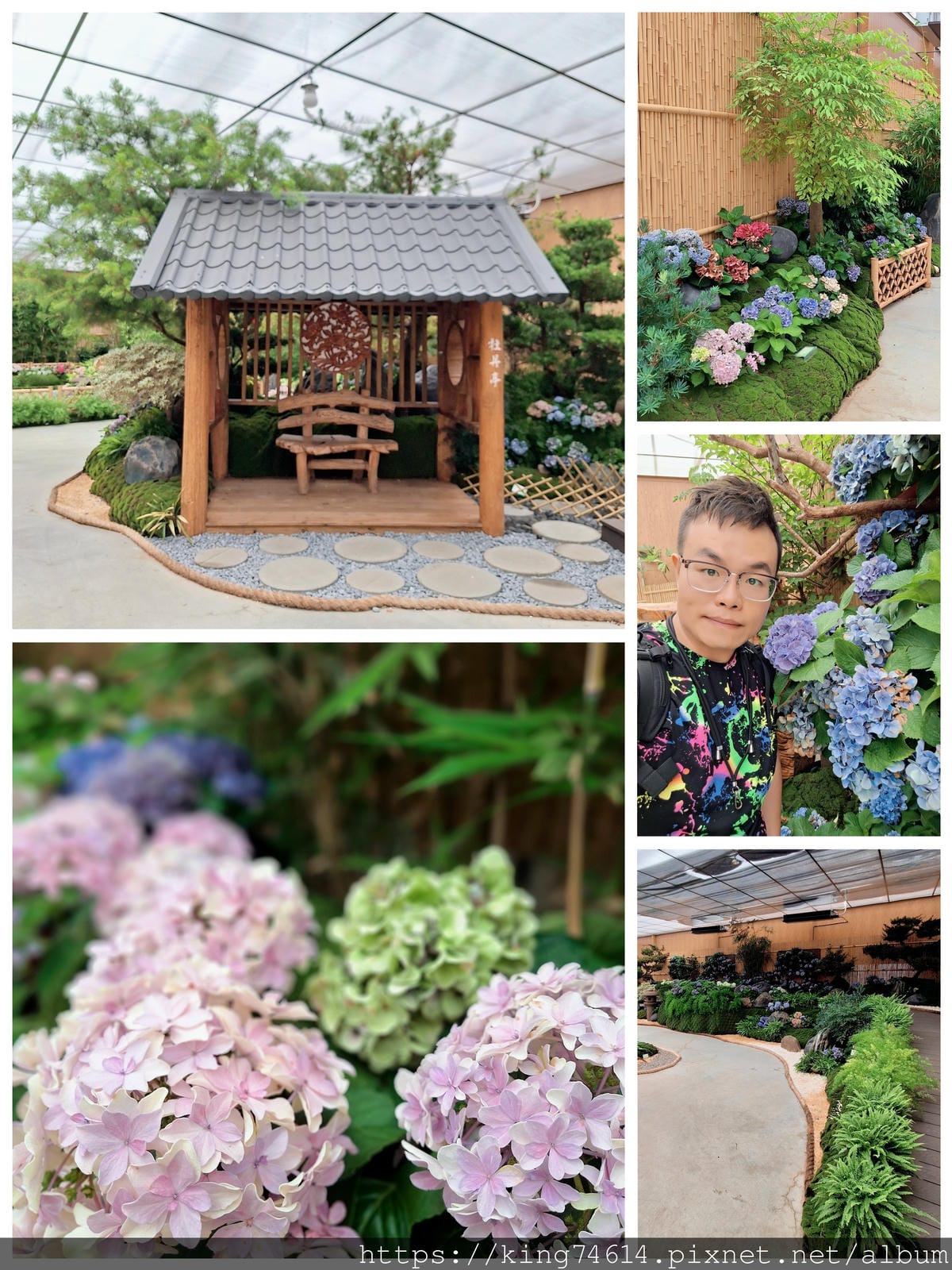 〔苗栗 景點〕花露休閒農場|繡球花季必訪|森林系下午茶、精油 〔苗栗 景點〕花露休閒農場|繡球花季必訪|森林系下午茶、精油