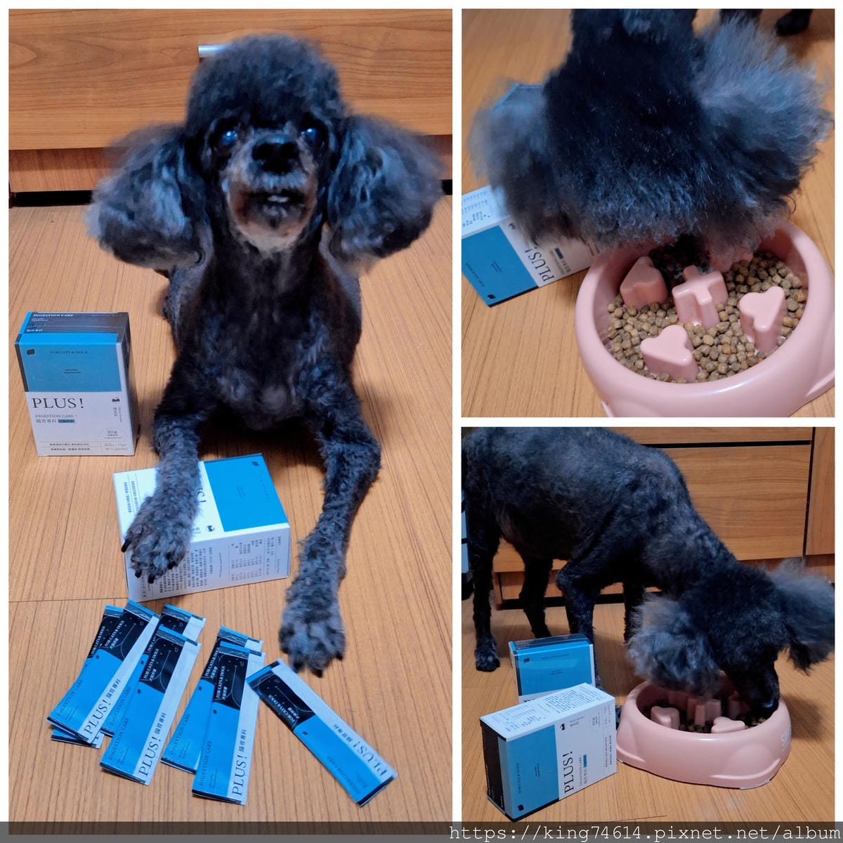 〔寵物 開箱〕喵皇奴 PLUS!腸胃專科|高齡犬也適合的益生 〔寵物 開箱〕喵皇奴 PLUS!腸胃專科|高齡犬也適合的益生