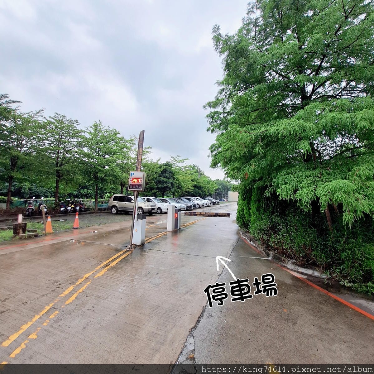 〔桃園 美食〕川門子|時尚川味菜館推薦|附超大停車場,還能打 〔桃園 美食〕川門子|時尚川味菜館推薦|附超大停車場,還能打
