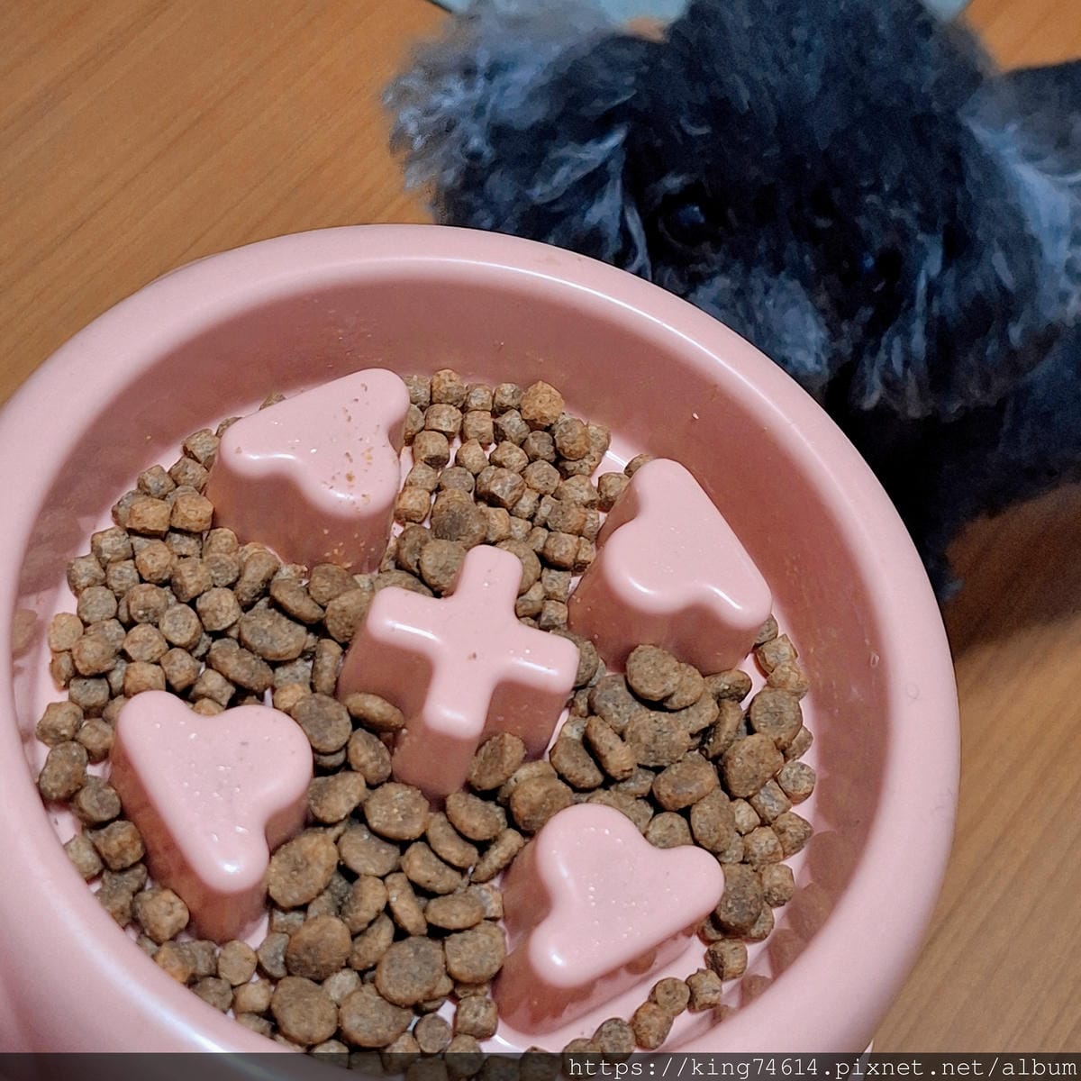 〔寵物 開箱〕耐吉斯犬用乾糧|耐吉斯Energy系列益生菌犬 〔寵物 開箱〕耐吉斯犬用乾糧|耐吉斯Energy系列益生菌犬