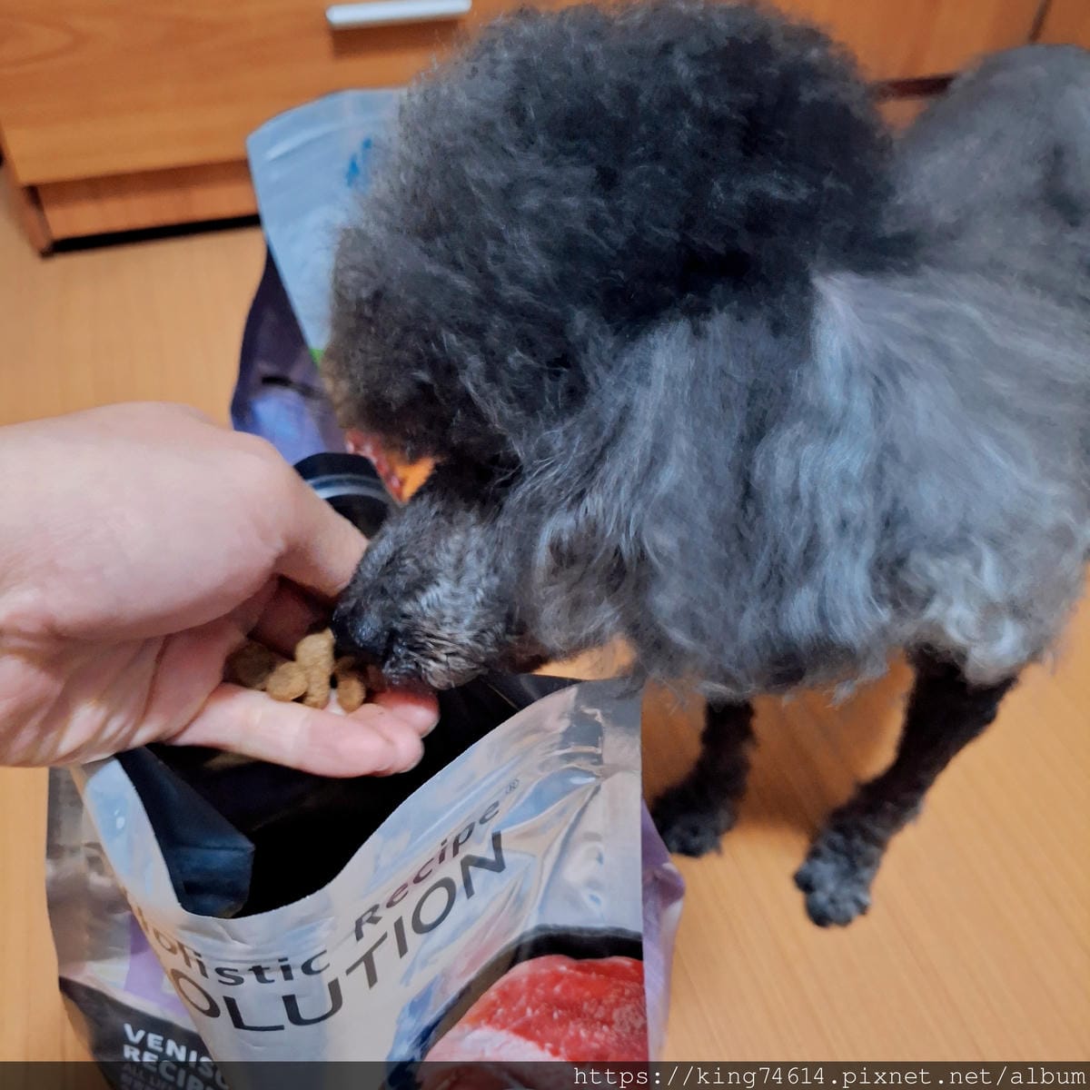 〔寵物 開箱〕耐吉斯犬用乾糧|耐吉斯Energy系列益生菌犬 〔寵物 開箱〕耐吉斯犬用乾糧|耐吉斯Energy系列益生菌犬