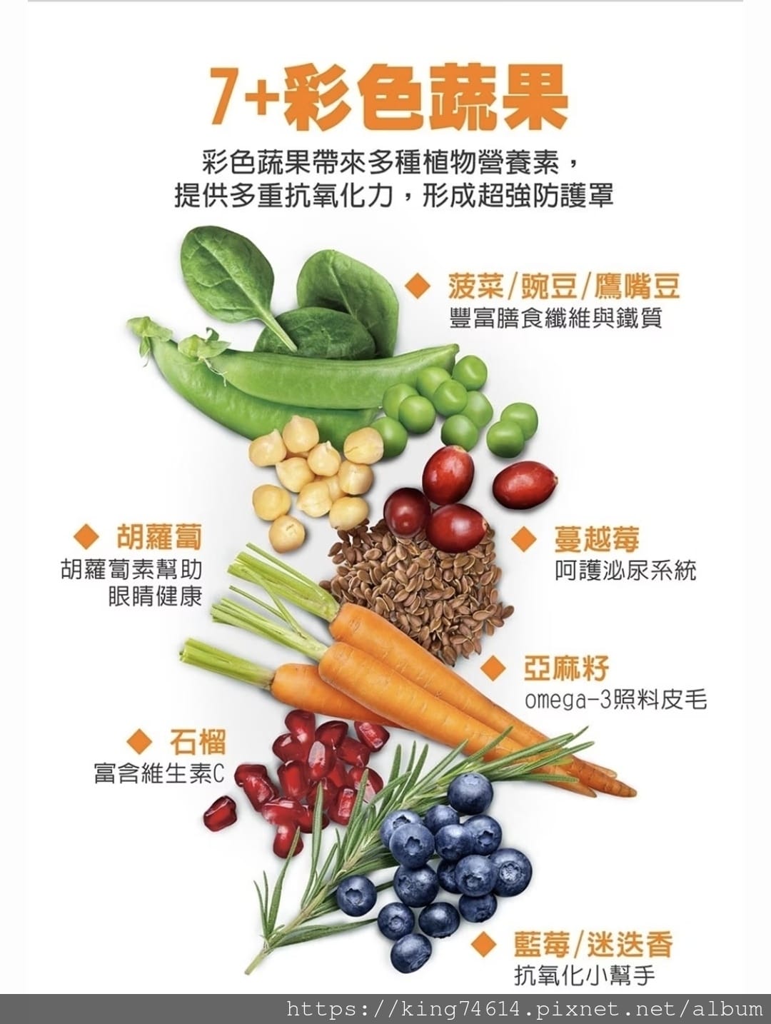 〔寵物 開箱〕耐吉斯犬用乾糧|耐吉斯Energy系列益生菌犬 〔寵物 開箱〕耐吉斯犬用乾糧|耐吉斯Energy系列益生菌犬