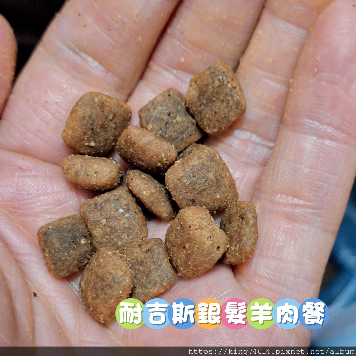 〔寵物 開箱〕耐吉斯犬用乾糧|耐吉斯Energy系列益生菌犬 〔寵物 開箱〕耐吉斯犬用乾糧|耐吉斯Energy系列益生菌犬