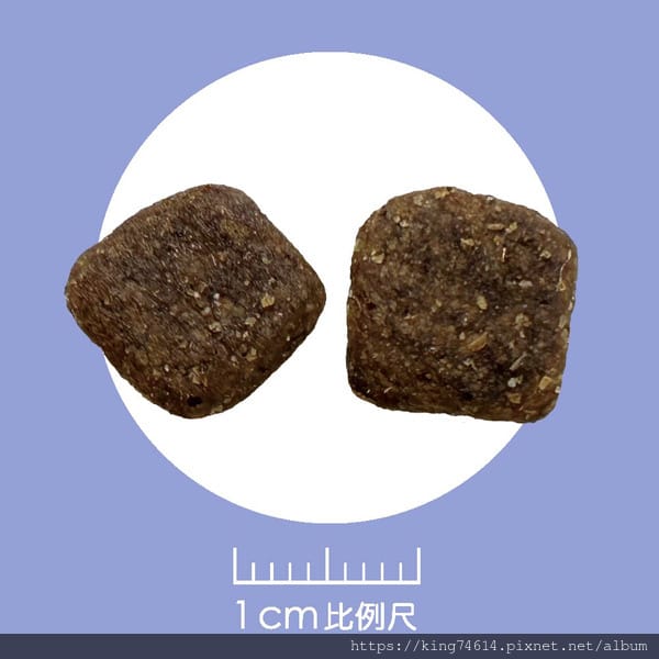 〔寵物 開箱〕耐吉斯犬用乾糧|耐吉斯Energy系列益生菌犬 〔寵物 開箱〕耐吉斯犬用乾糧|耐吉斯Energy系列益生菌犬