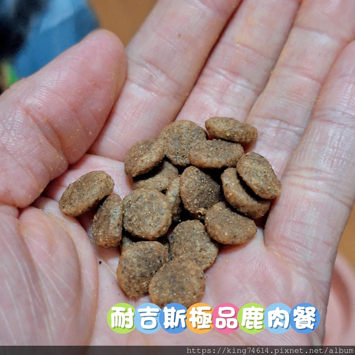 〔寵物 開箱〕耐吉斯犬用乾糧|耐吉斯Energy系列益生菌犬 〔寵物 開箱〕耐吉斯犬用乾糧|耐吉斯Energy系列益生菌犬