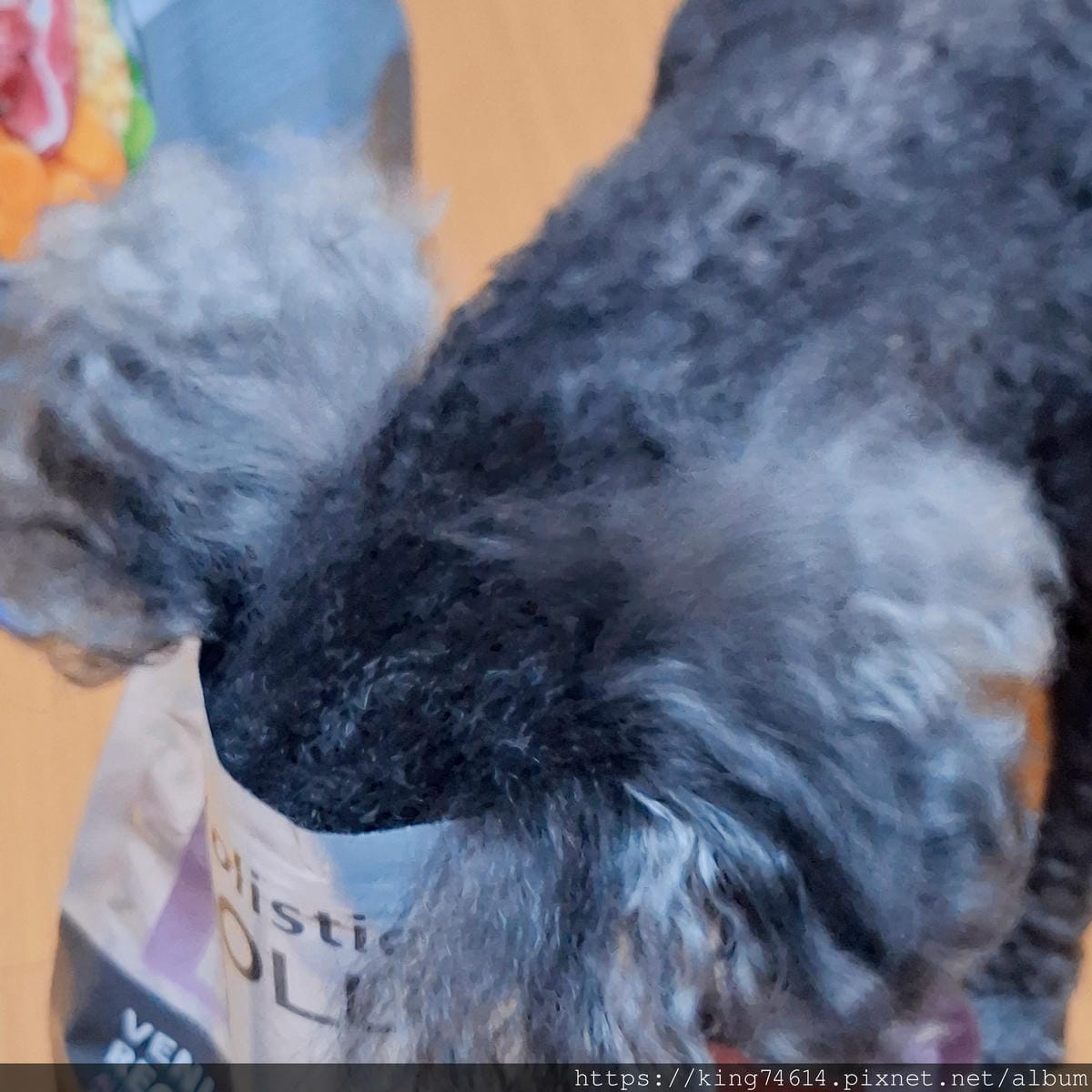 〔寵物 開箱〕耐吉斯犬用乾糧|耐吉斯Energy系列益生菌犬 〔寵物 開箱〕耐吉斯犬用乾糧|耐吉斯Energy系列益生菌犬