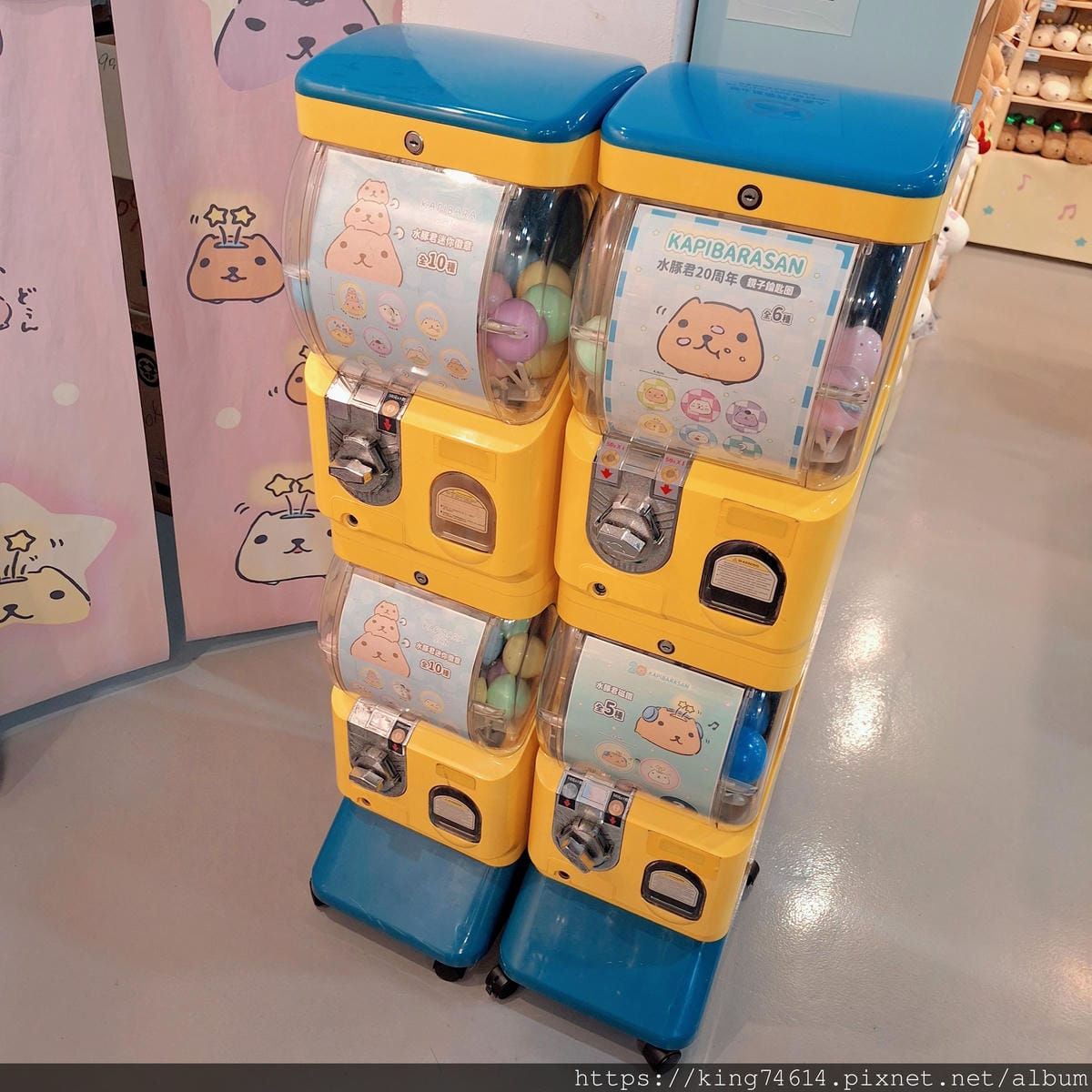 〔台北 藝文〕水豚君20週年紀念快閃店|超巨水豚現身華山!限 〔台北 藝文〕水豚君20週年紀念快閃店|超巨水豚現身華山!限