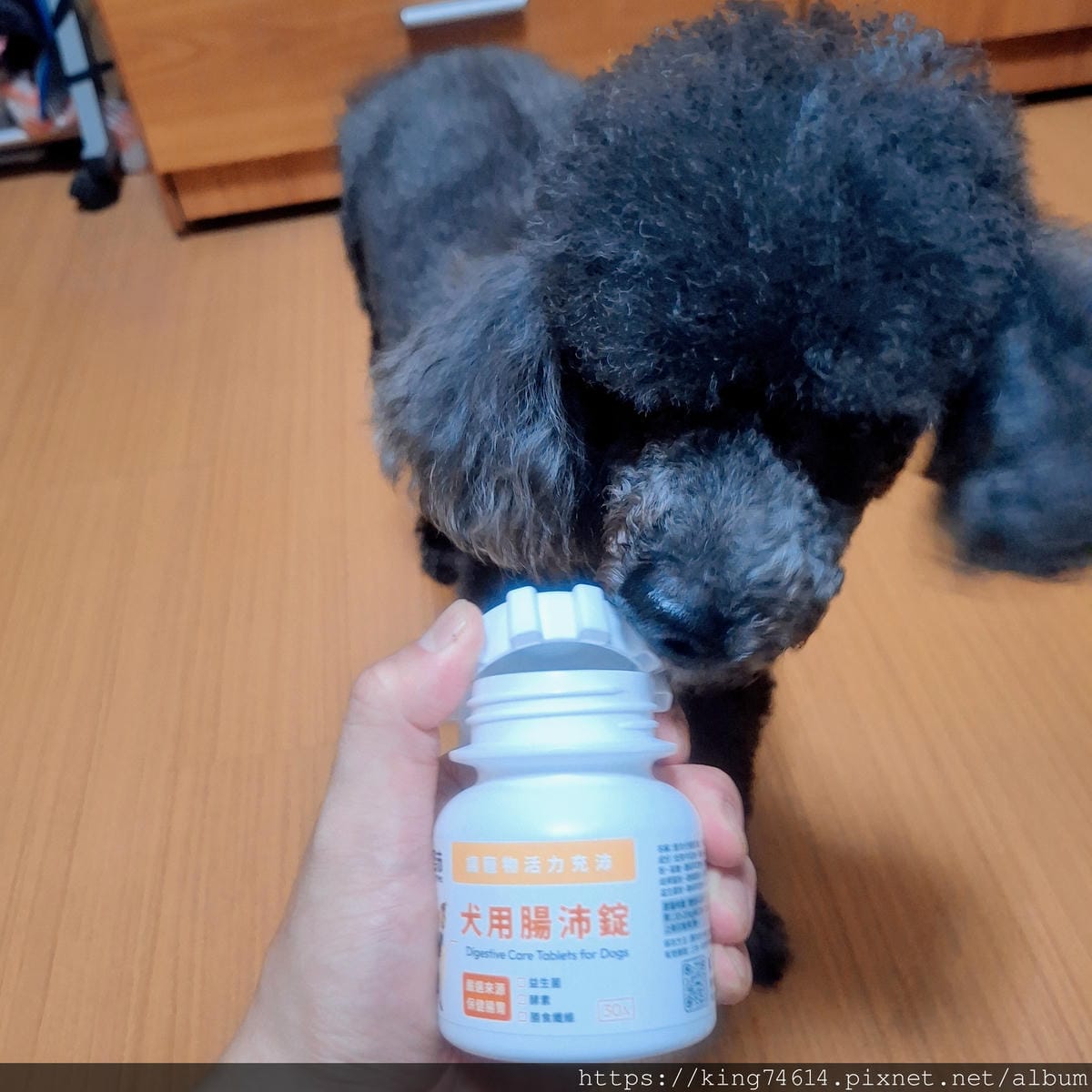 〔狗狗腸胃保健推薦〕奧沛 OurPet 犬用腸沛錠｜寵物保健