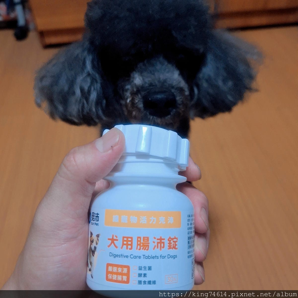 〔狗狗腸胃保健推薦〕奧沛 OurPet 犬用腸沛錠｜寵物保健