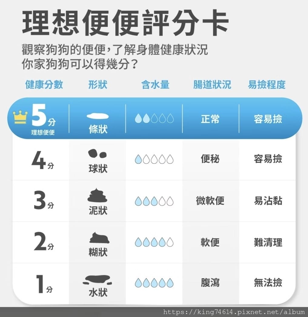 〔狗狗腸胃保健推薦〕奧沛 OurPet 犬用腸沛錠｜寵物保健
