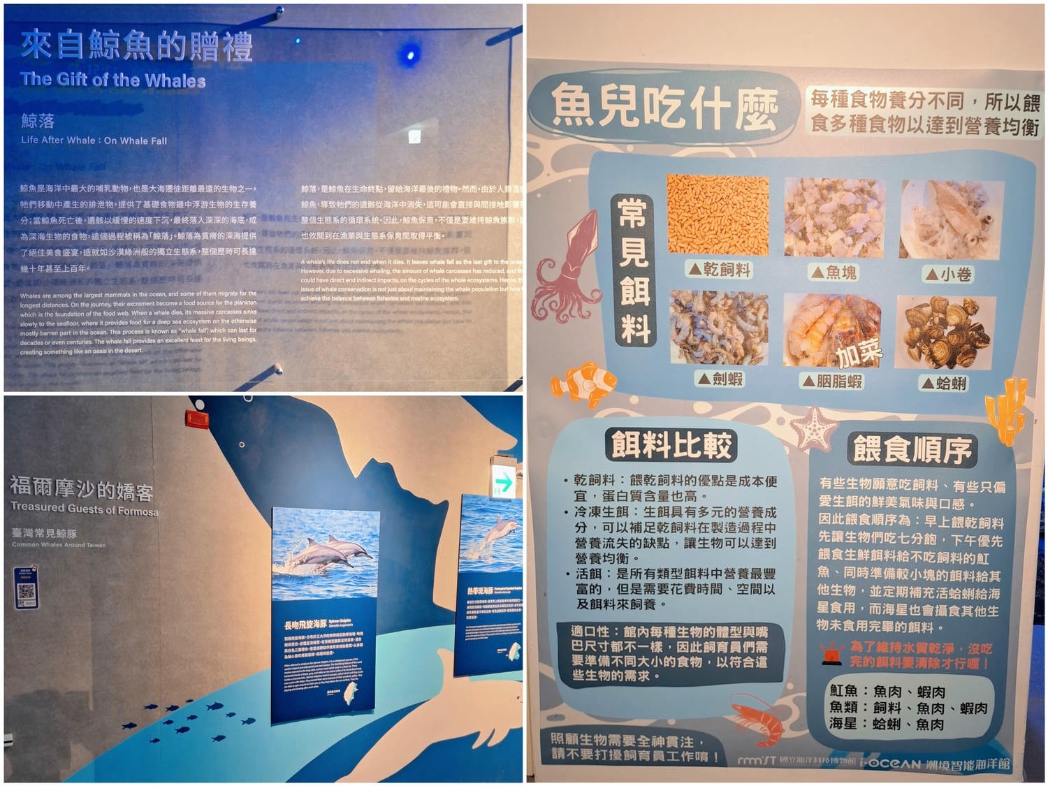 〔基隆 景點〕潮境智能海洋館｜好玩嗎？我逛完的真實感受