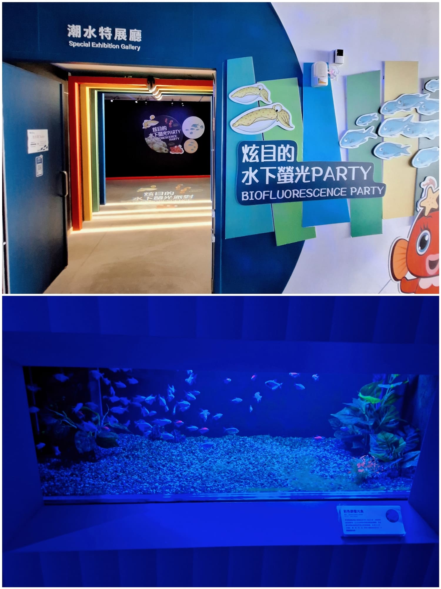 〔基隆 景點〕潮境智能海洋館｜好玩嗎？我逛完的真實感受