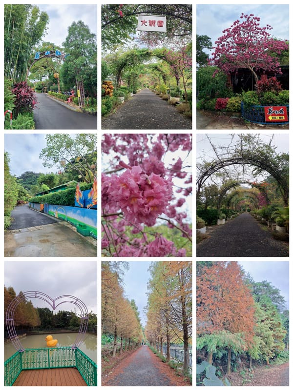 〔新北 美食〕鳶山紅樓|離城市最近的世外桃源,藏在山林裡的無菜單料理饗宴,一吃就想再回訪 - 第24張圖 〔新北 美食〕鳶山紅樓|離城市最近的世外桃源,藏在山林裡的無菜單料理饗宴,一吃就想再回訪