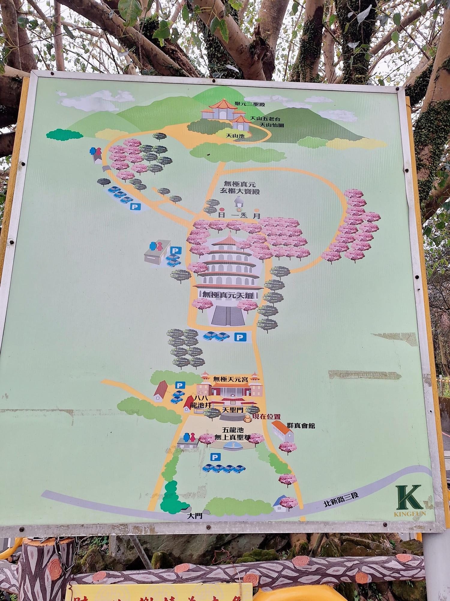 〔新北 景點〕2026天元宮櫻花園區|現在去櫻花🌸開了嗎?實際開花狀況分享 - 第8張圖 〔新北 景點〕2026天元宮櫻花園區|現在去櫻花🌸開了嗎?實際開花狀況分享