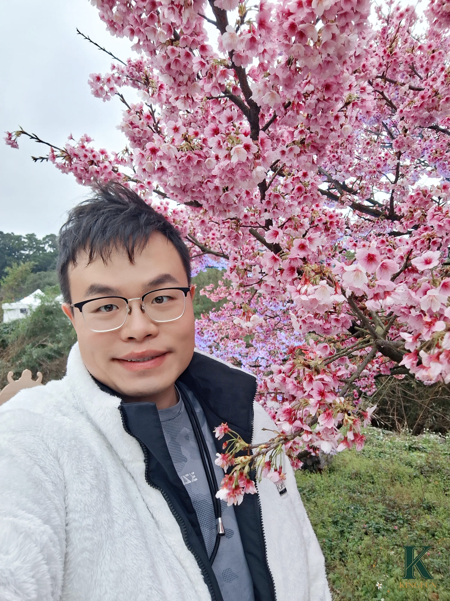 〔新北 景點〕2026天元宮櫻花園區|現在去櫻花🌸開了嗎?實際開花狀況分享 - 第11張圖 〔新北 景點〕2026天元宮櫻花園區|現在去櫻花🌸開了嗎?實際開花狀況分享