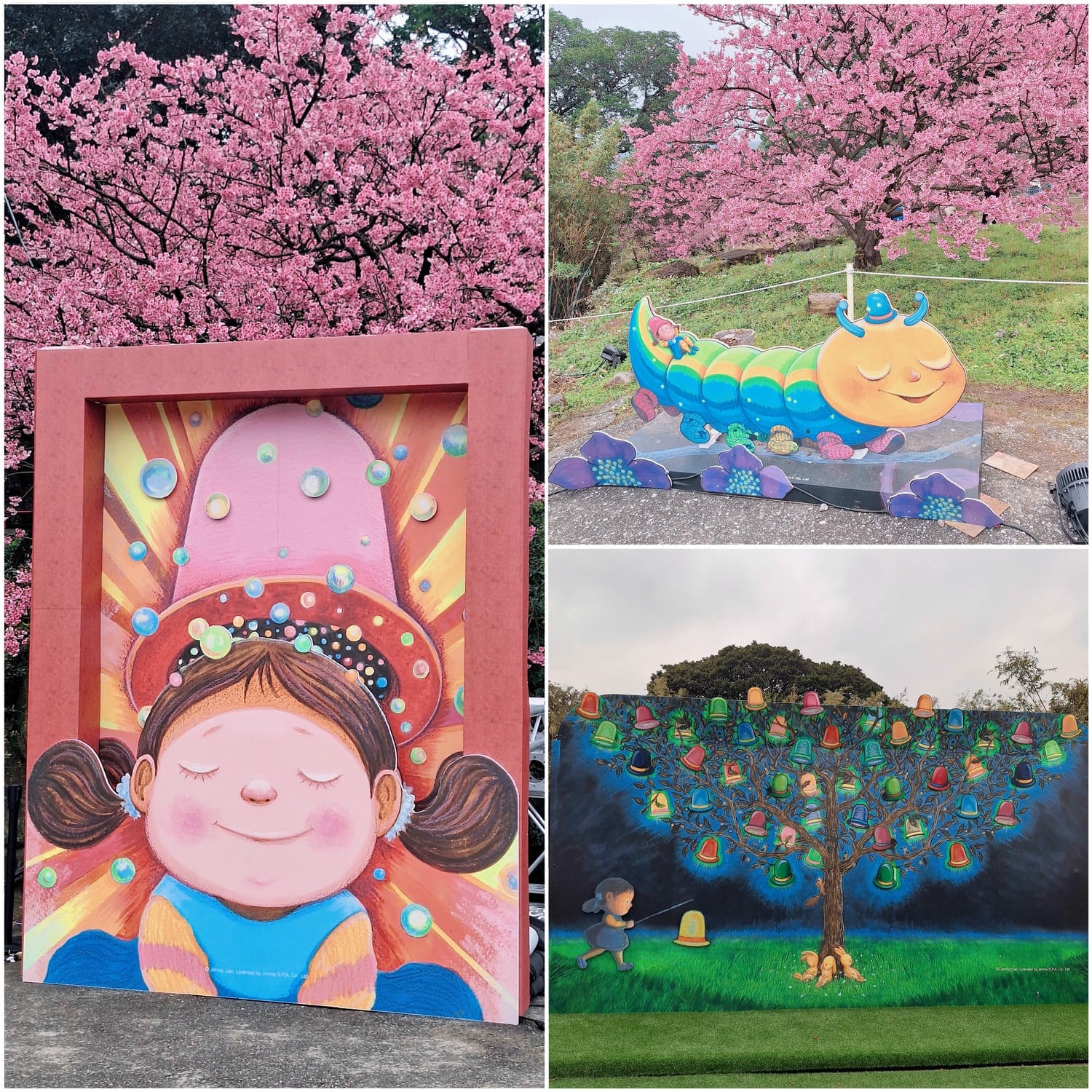 〔新北 景點〕2026天元宮櫻花園區|現在去櫻花🌸開了嗎?實際開花狀況分享 - 第12張圖 〔新北 景點〕2026天元宮櫻花園區|現在去櫻花🌸開了嗎?實際開花狀況分享