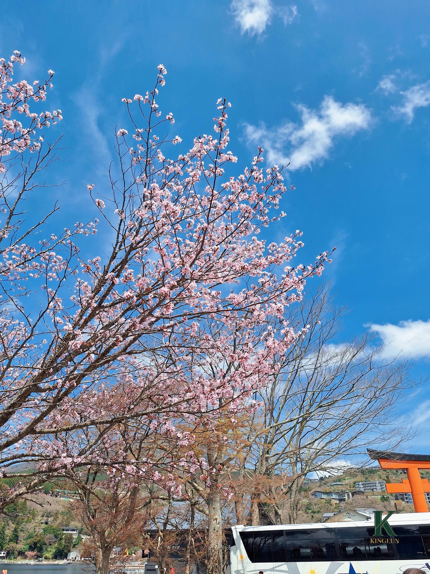 〔日本 東京〕富士山🗻一日遊 | KKday一日遊值得嗎?玩完直接愛上! - 第10張圖 〔日本 東京〕富士山🗻一日遊 | KKday一日遊值得嗎?玩完直接愛上!