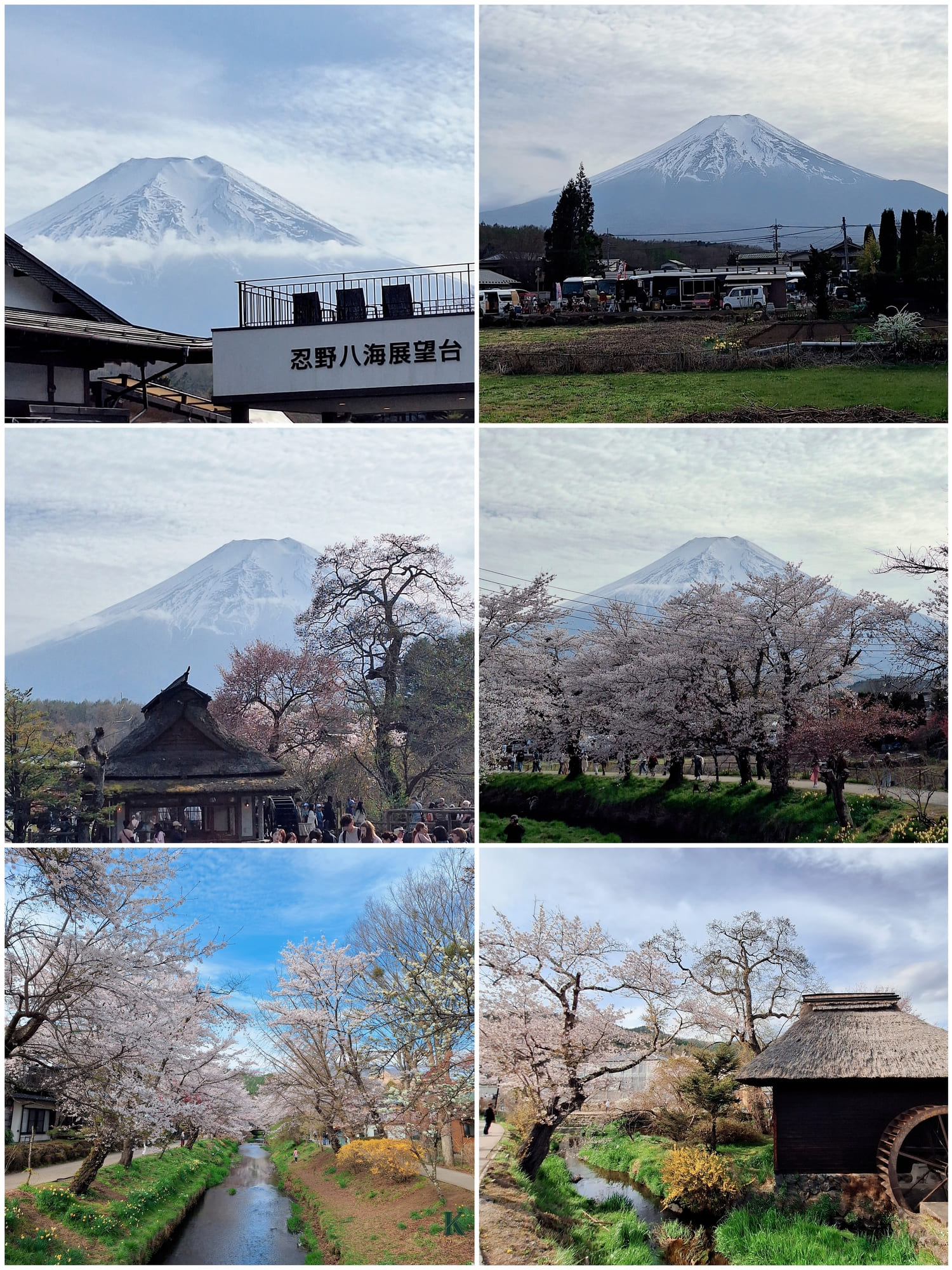 〔日本 東京〕富士山🗻一日遊 | KKday一日遊值得嗎?玩完直接愛上! - 第23張圖 〔日本 東京〕富士山🗻一日遊 | KKday一日遊值得嗎?玩完直接愛上!